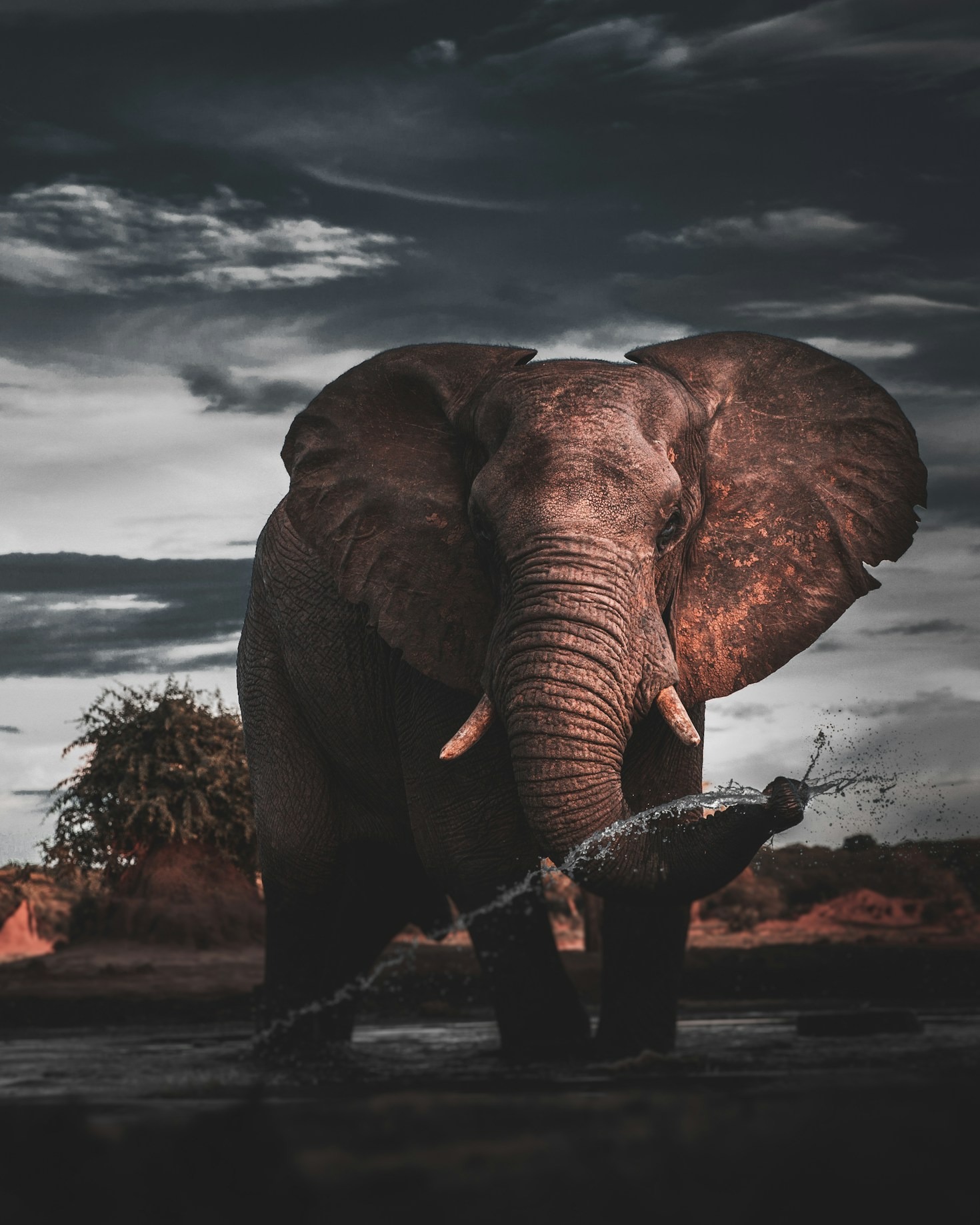 The Best Time to Travel to Zimbabwe